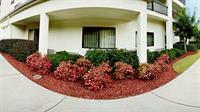 Отель Courtyard Suwanee By Marriott Экстерьер фото